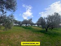 Resim13457